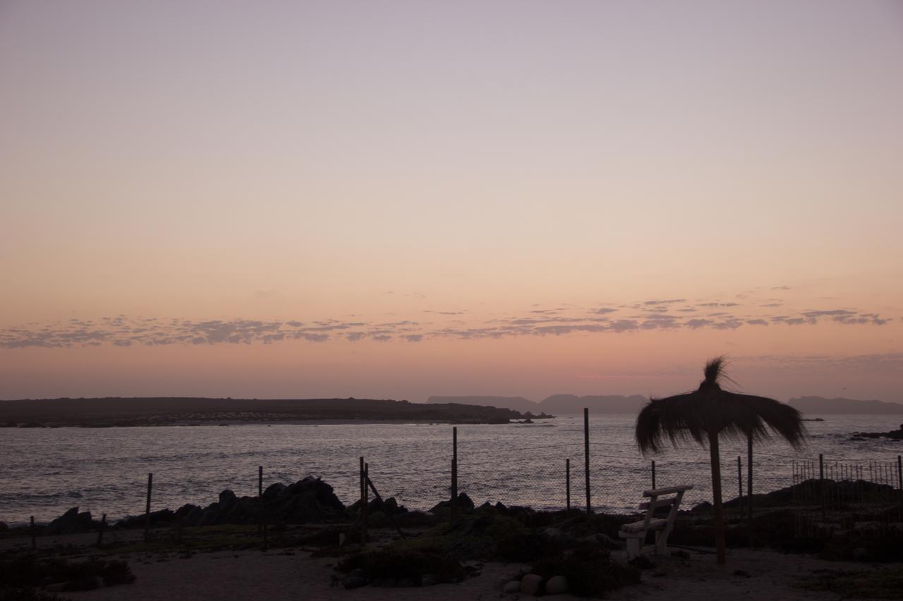 Villa Refugio Humboldt Punta de Choros Exterior foto