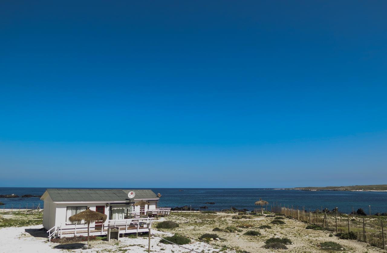 Villa Refugio Humboldt Punta de Choros Exterior foto